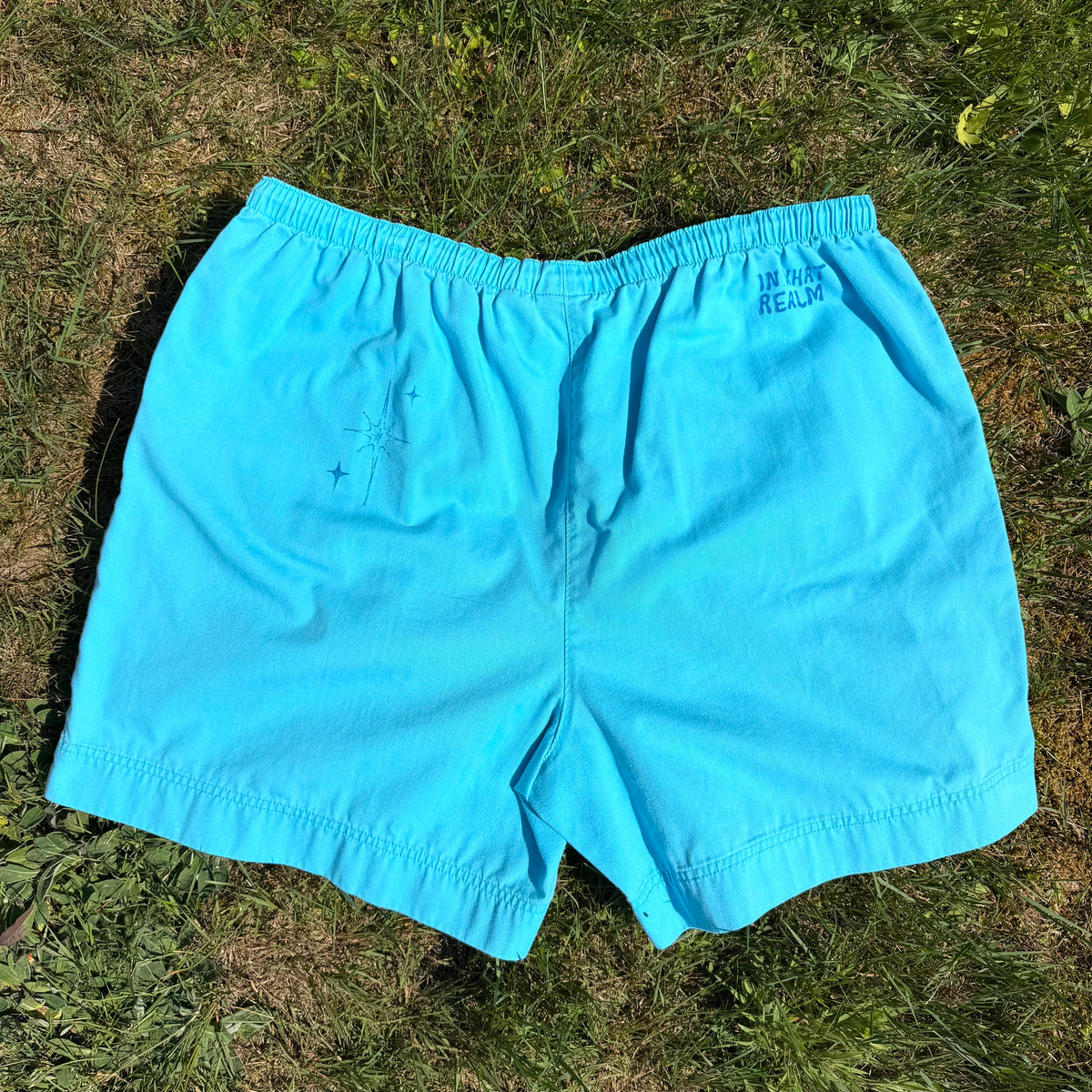 Moth Shorts - 2X