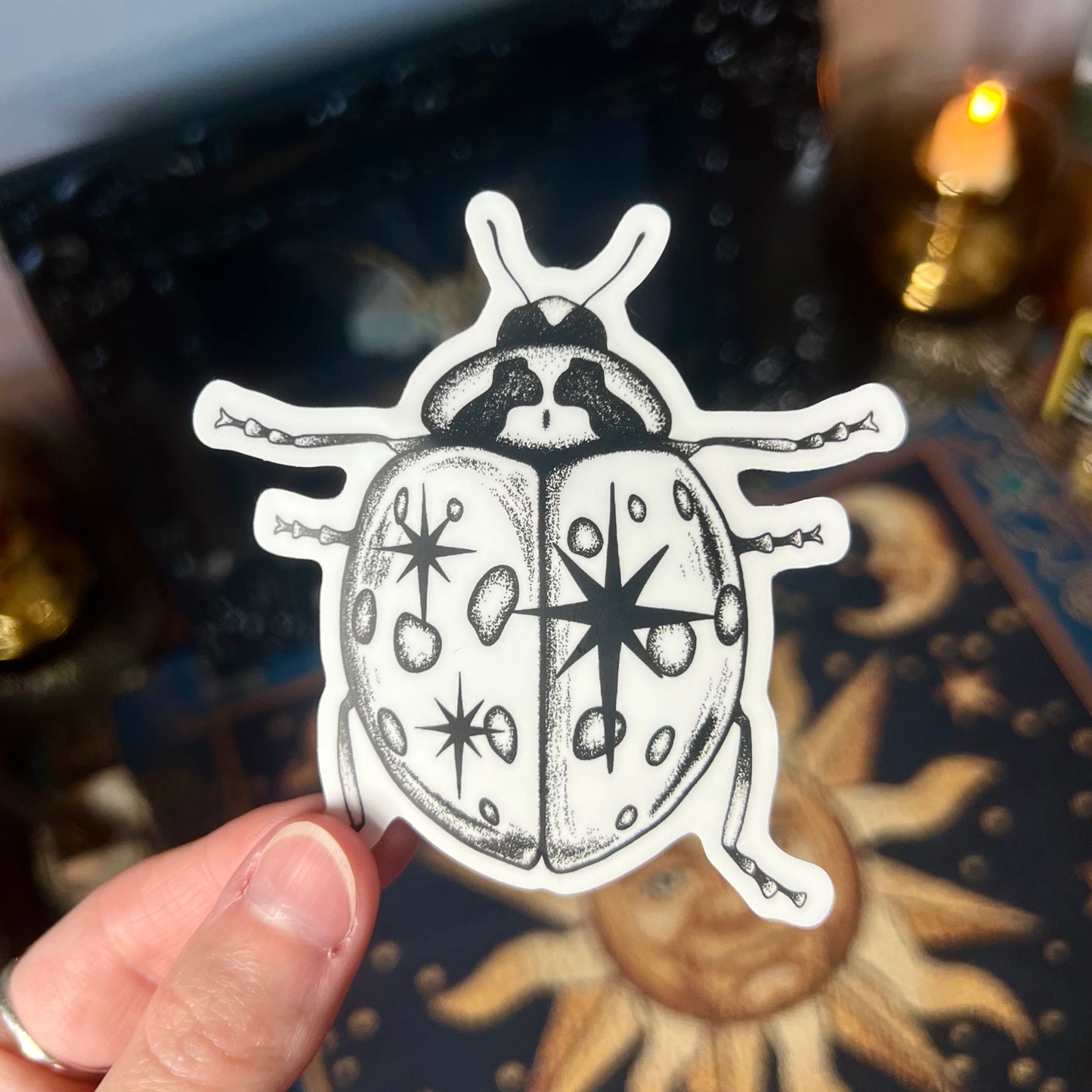 Ladybug Sticker
