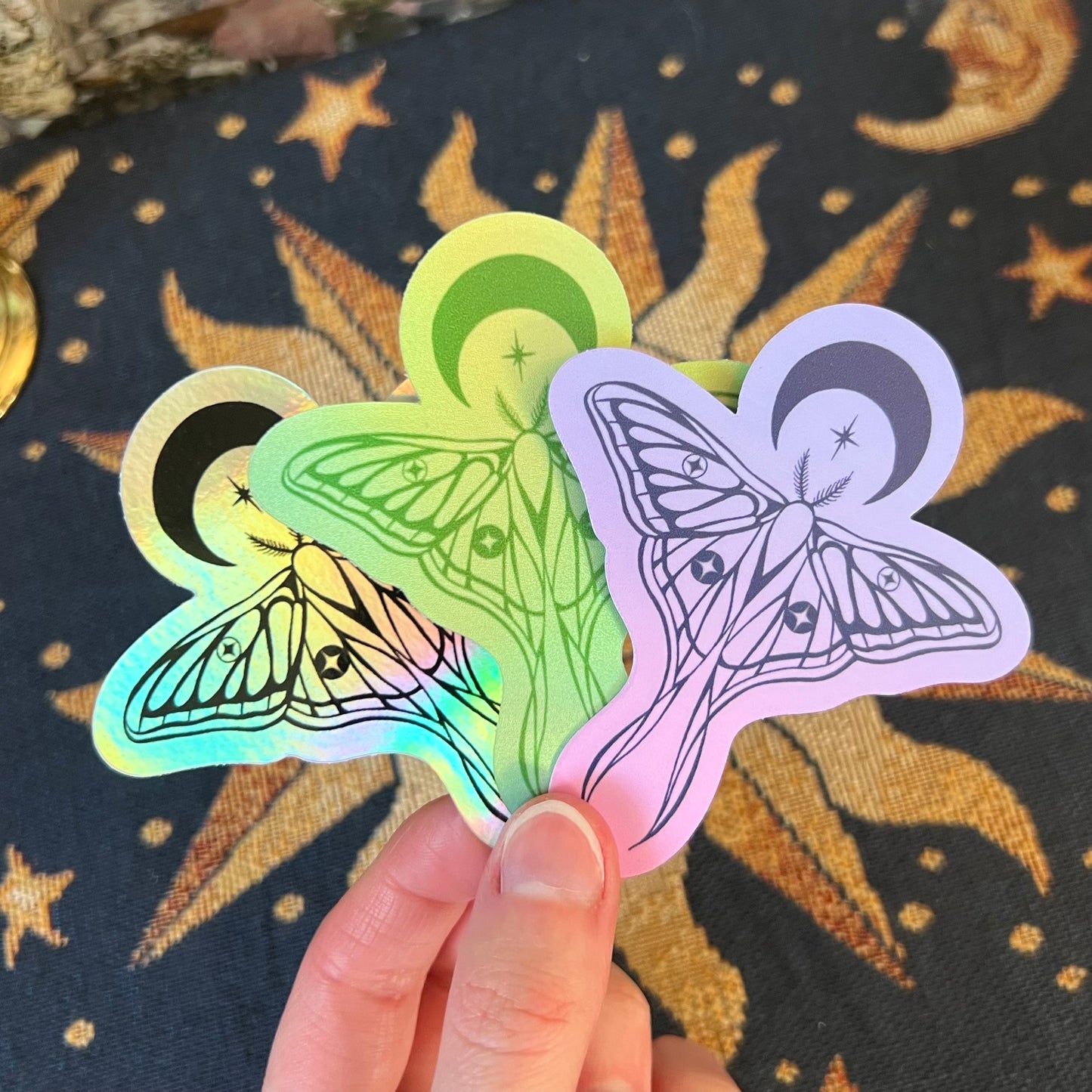 Moth Sticker Bundle